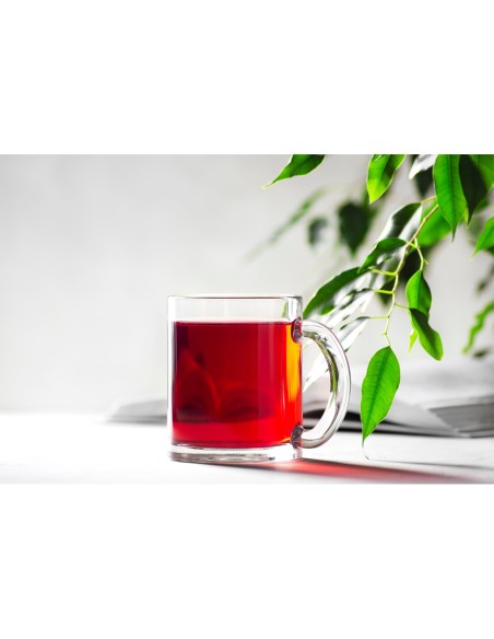 CARMO Taza de vidrio de 350 mL