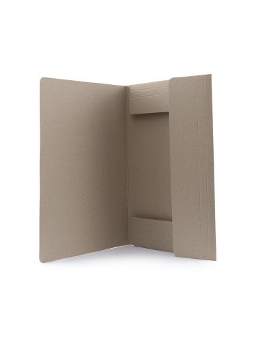 Carpeta Ecosum
