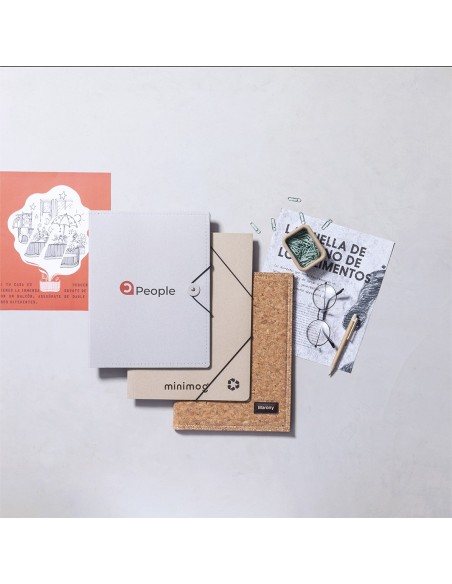Carpeta Ecosum
