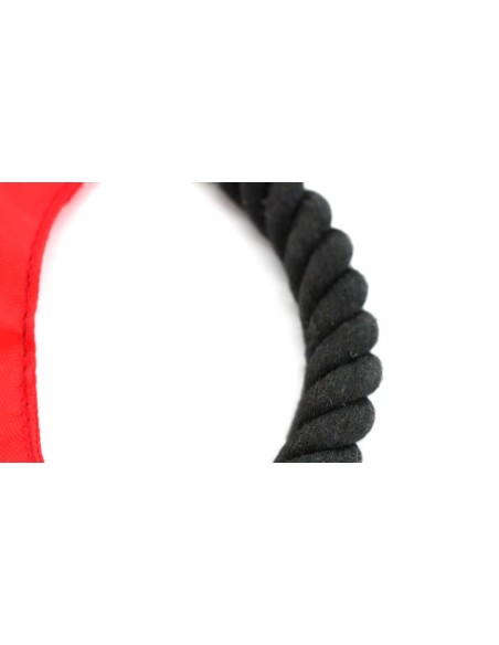 Frisbee Flybit