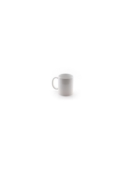 Taza Impex