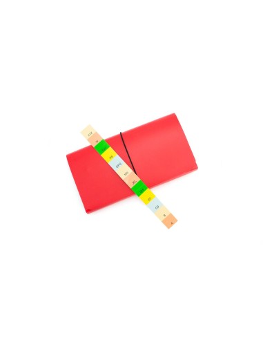 Organizador Lemek