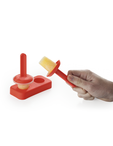 Set Moldes Thade