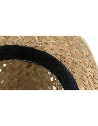 Sombrero Bull