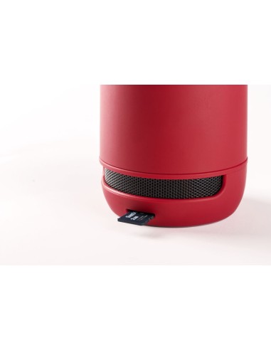 Altavoz Braiss