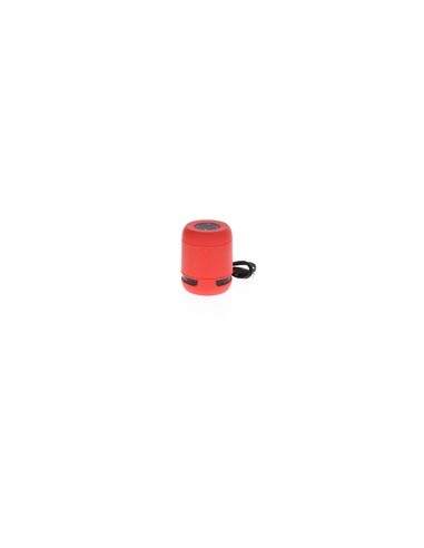 Altavoz Braiss