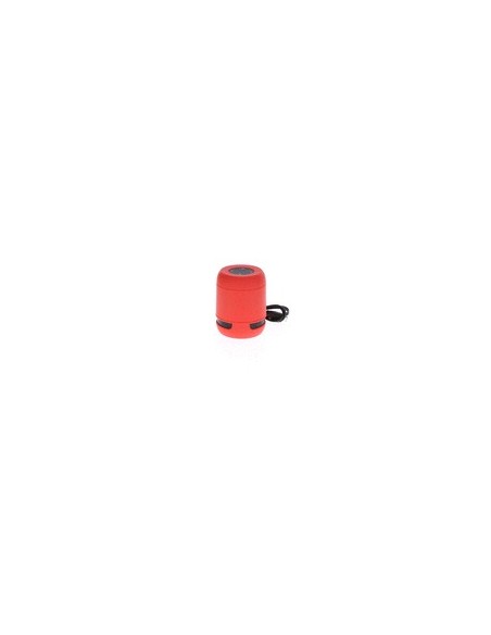 Altavoz Braiss