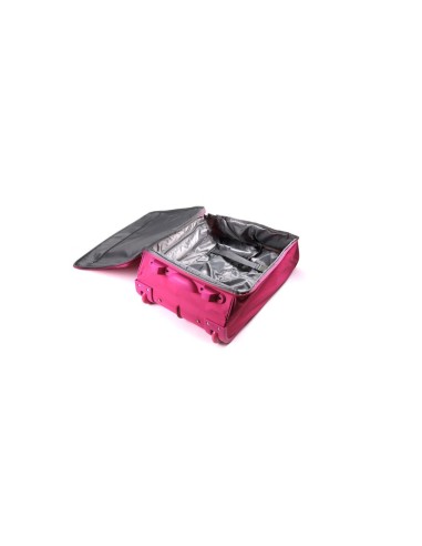 Trolley Plegable Dunant