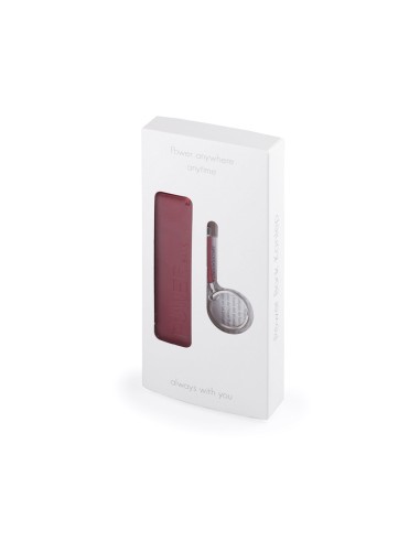 Power Bank Kanlep
