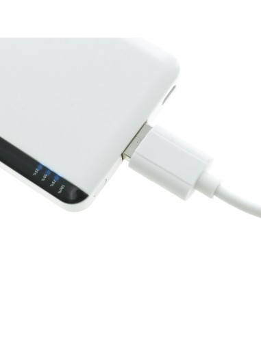 Power Bank Vilek