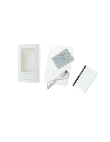 Power Bank Vilek