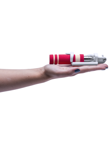 Monopod Paicom
