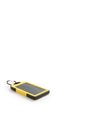 Power Bank Lenard