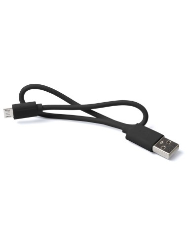 Power Bank Lenard