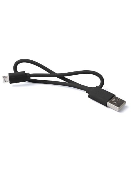 Power Bank Lenard