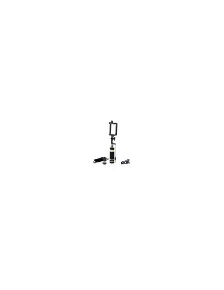 Set Altum