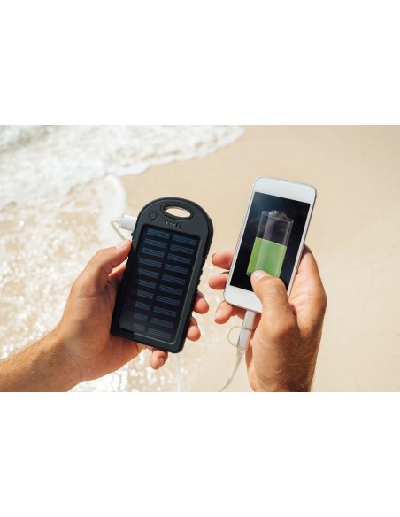 Power Bank Lenard