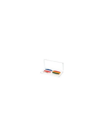 Set Pinturas Colour