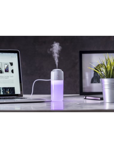 Humidificador Trudy
