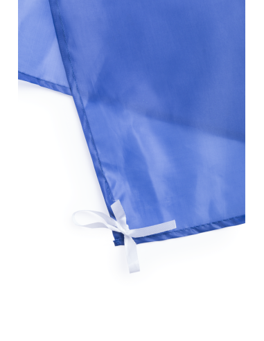 Bandera Dambor
