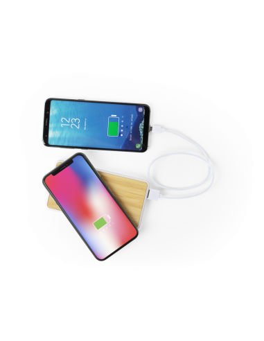Power Bank Dickens