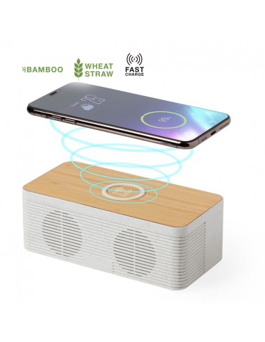 Altavoz Cargador Trecam