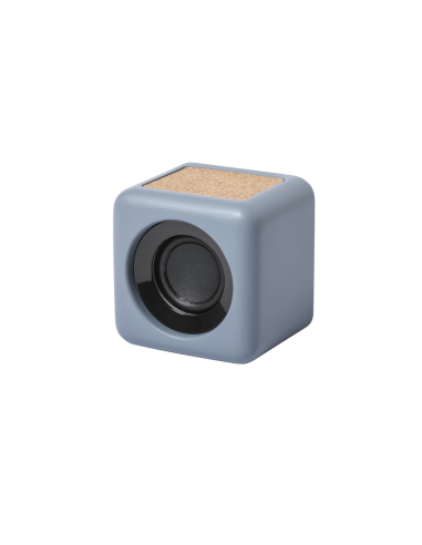 Altavoz Seynol