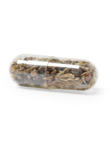 Capsula Semillas Biyok