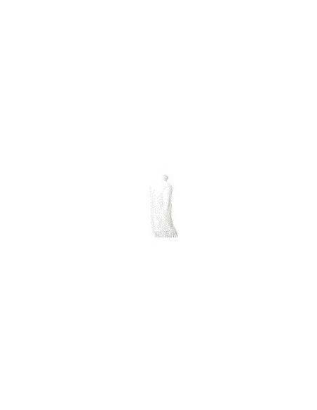Camiseta Adulto Blanca Iconic
