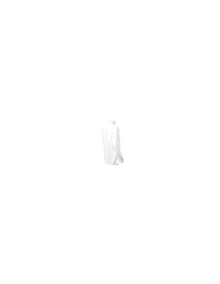 Camiseta Adulto Blanca Iconic Long Sleeve T