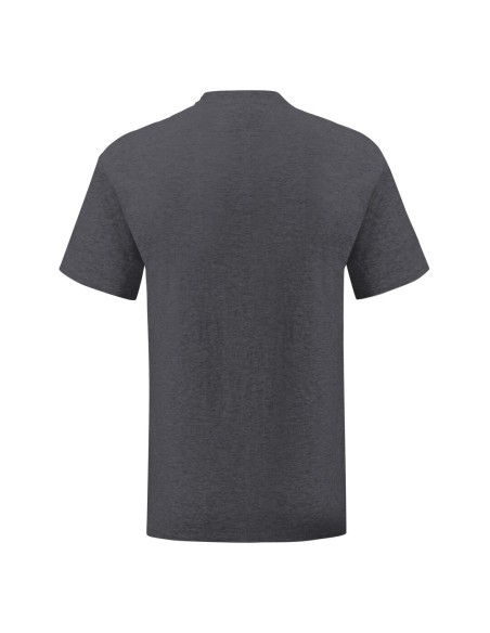 Camiseta Adulto Color Iconic