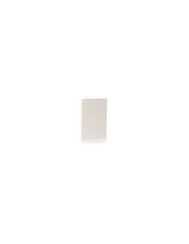 Rebrick