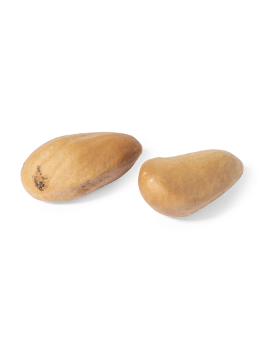 Gulytel