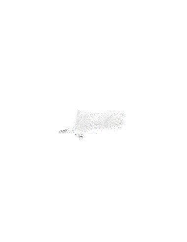 Lanyard Portamascarillas Lerop