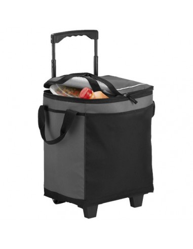 Bolsa isotermica con ruedas para 32 latas Roller