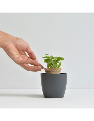 Semillas Ecokit