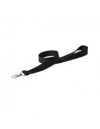 Lanyard
