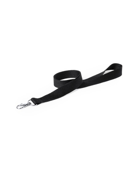 Lanyard