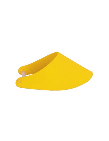 Visera