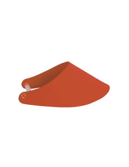 Visera