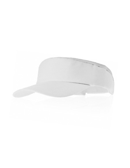 Visera