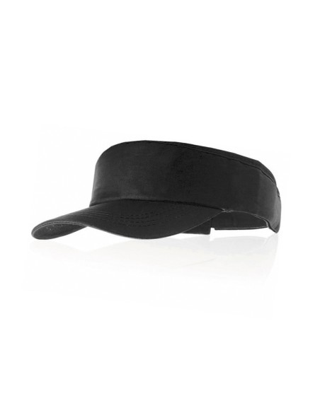 Visera