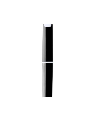 Pinza