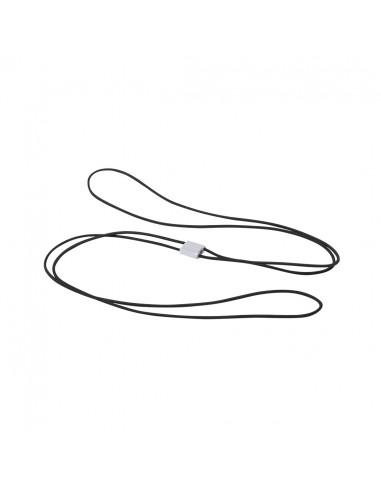 Goma Elastica