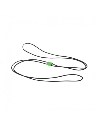Goma Elastica