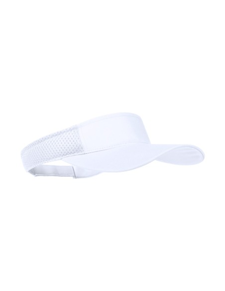 Visera