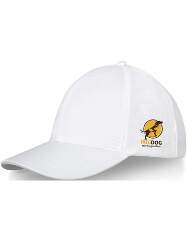 Gorra de camionero de 6 paneles "Drake"