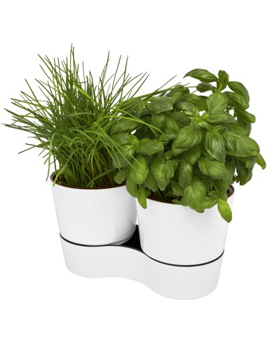 Maceta doble para cocina"Herbs"