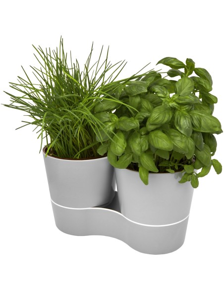 Maceta doble para cocina"Herbs"