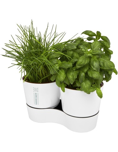 Maceta doble para cocina"Herbs"